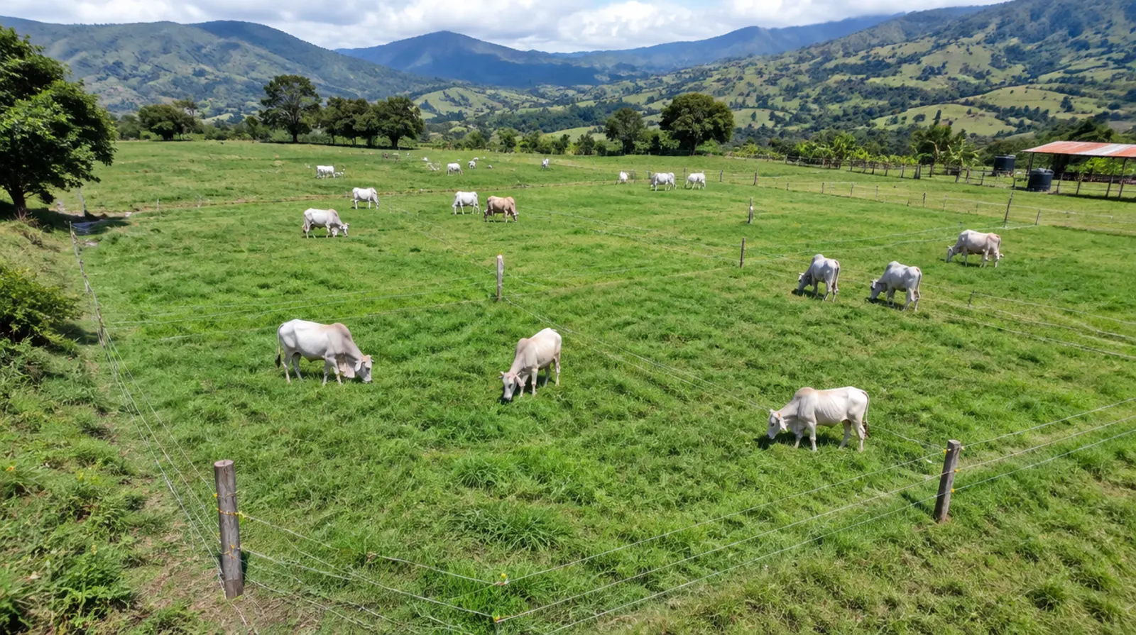 Cuánto cuesta una cerca eléctrica por hectárea en Colombia