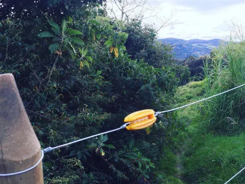 Aislador ovalado tipo pera sobre poste de madera en cerca eléctrica rural de montaña