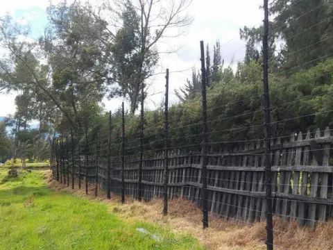 Cerca eléctrica perimetral de varios hilos sobre postes en lote con árboles