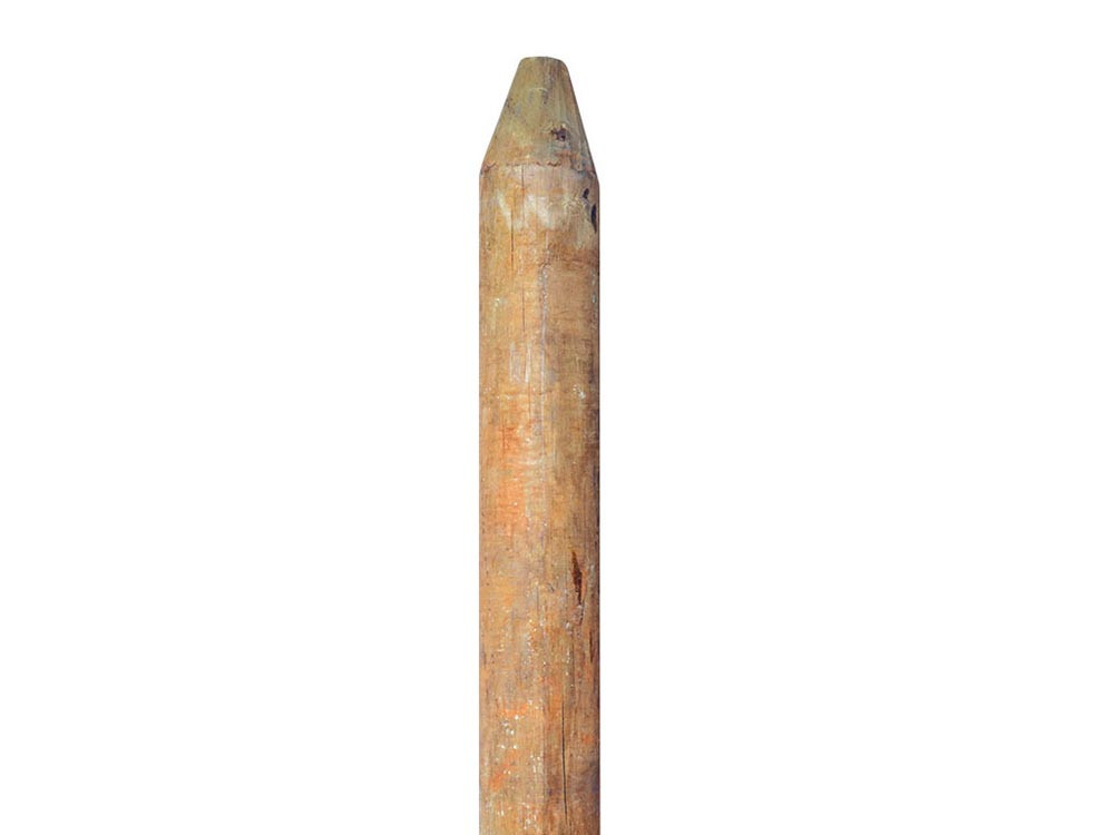 Poste de madera inmunizada redondos tipo lápiz 7cm x 220