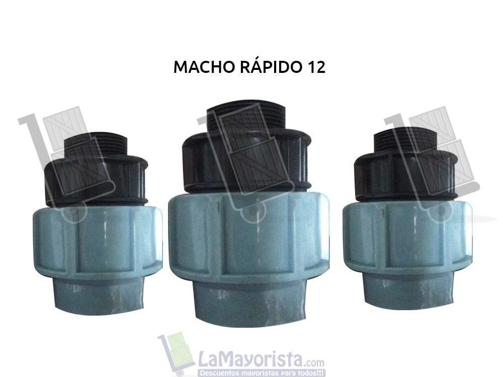 MACHO RAPIDO 12