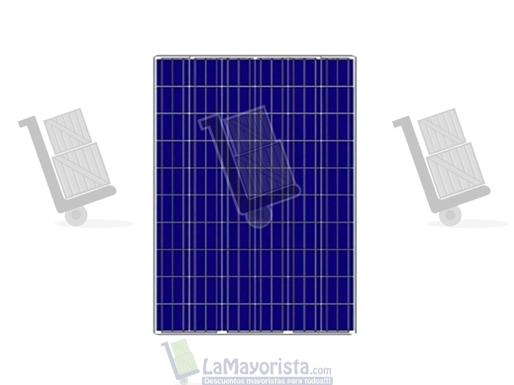 Panel Solar 300 W Policristalino 12 VTS 72 Celdas