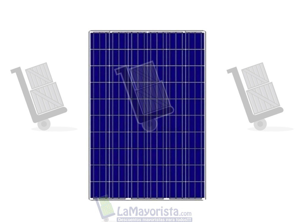 Panel Solar 320 W Policristalino 12 VTS 36 Celdas